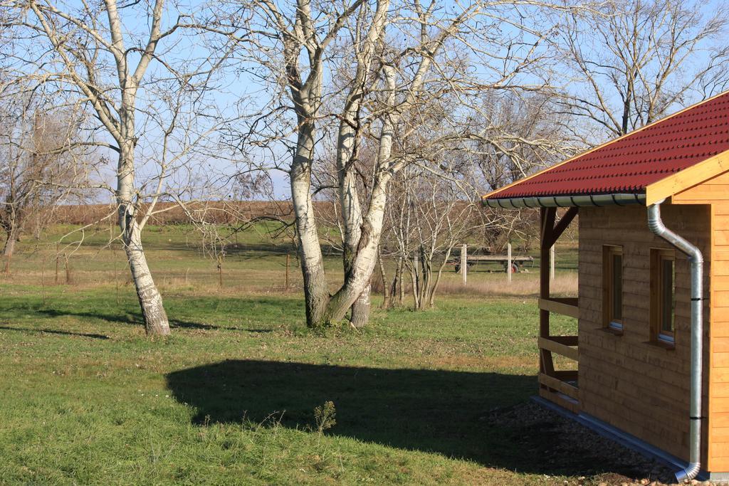 Pusztaeldorado Tiszagyenda Exterior foto